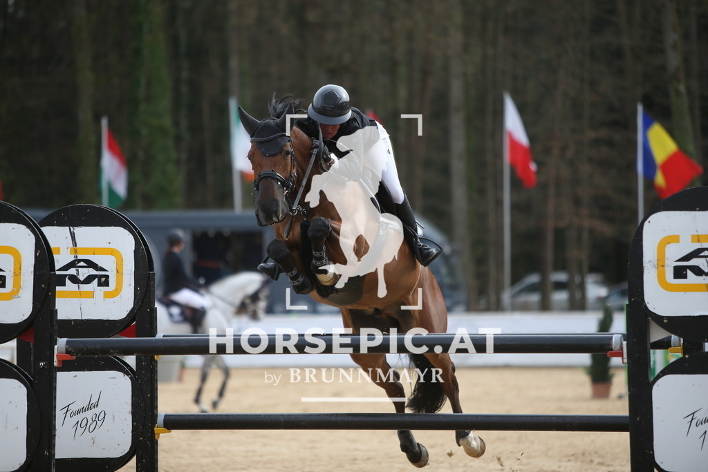 PP018538 | Willkommen bei Brunnmayr - Design & Fotografie – Ihrem Spezialisten für Reitturniere und Pferdeveranstaltungen in Oberösterreich, Salzburg und Bayern! Seit über 17 Jahren sind wir leidenschaftlich dabei.