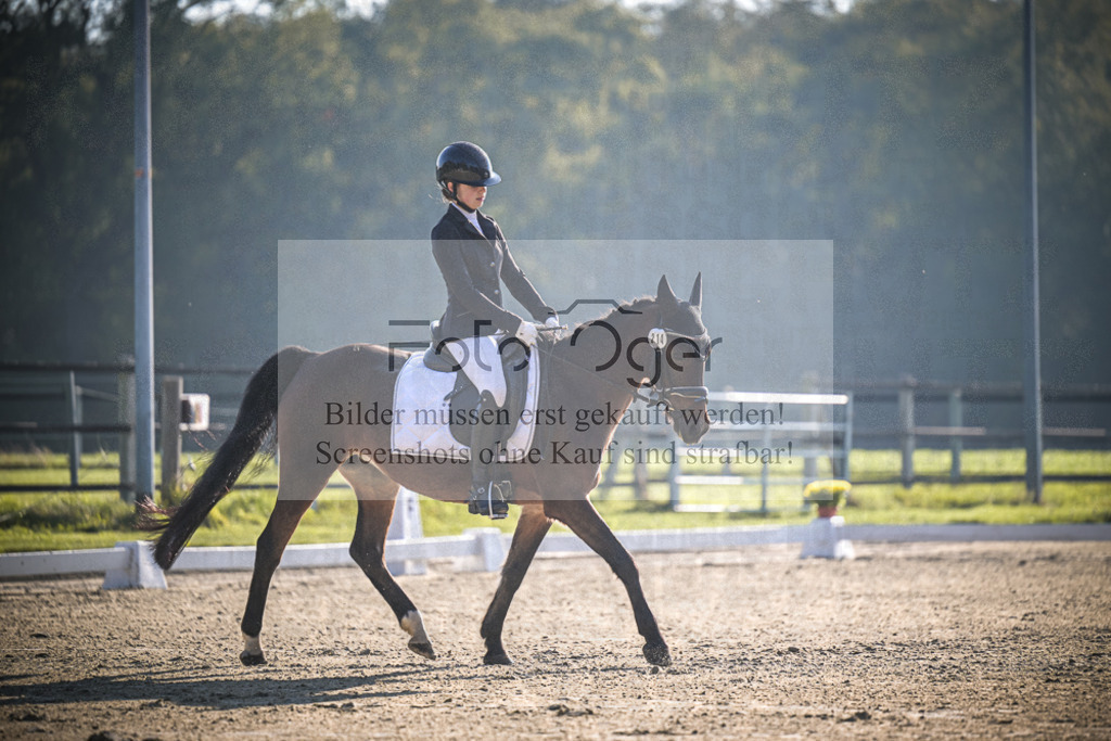 DOS_0605 | Entdecke hochwertige Reitturnierfotos von Foto Oger. Professionell, emotional und authentisch – jetzt Lieblingsmomente im Shop bestellen.Deutschlandweite Turnierfotografie. - Realisiert mit Pictrs.com