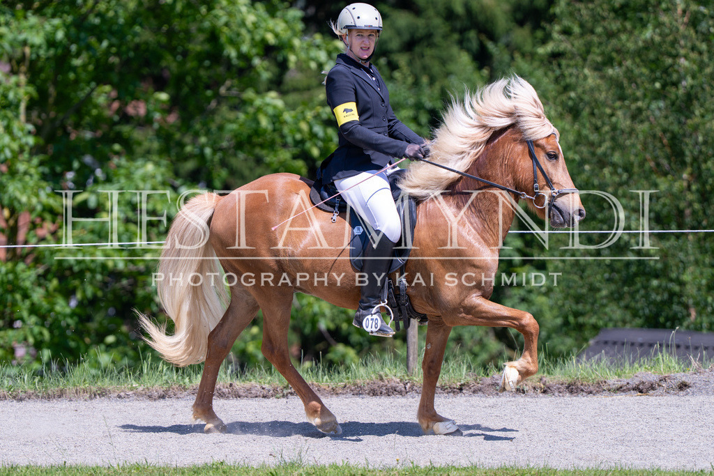 KAI03446 | Ihr sucht einen Fotografen für eure nächste OSI? Ich begleite auch euer Turnier für Islandpferde fotografisch.  - Realisiert mit Pictrs.com
