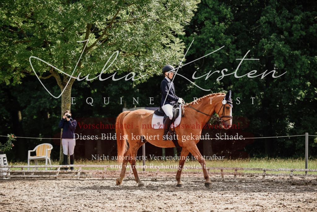 DSC_0002 | Pferde- und Turnierfotografie in Westsachsen. Pferdeportraits, Auftragszeichnungen und intuitive Kunst.