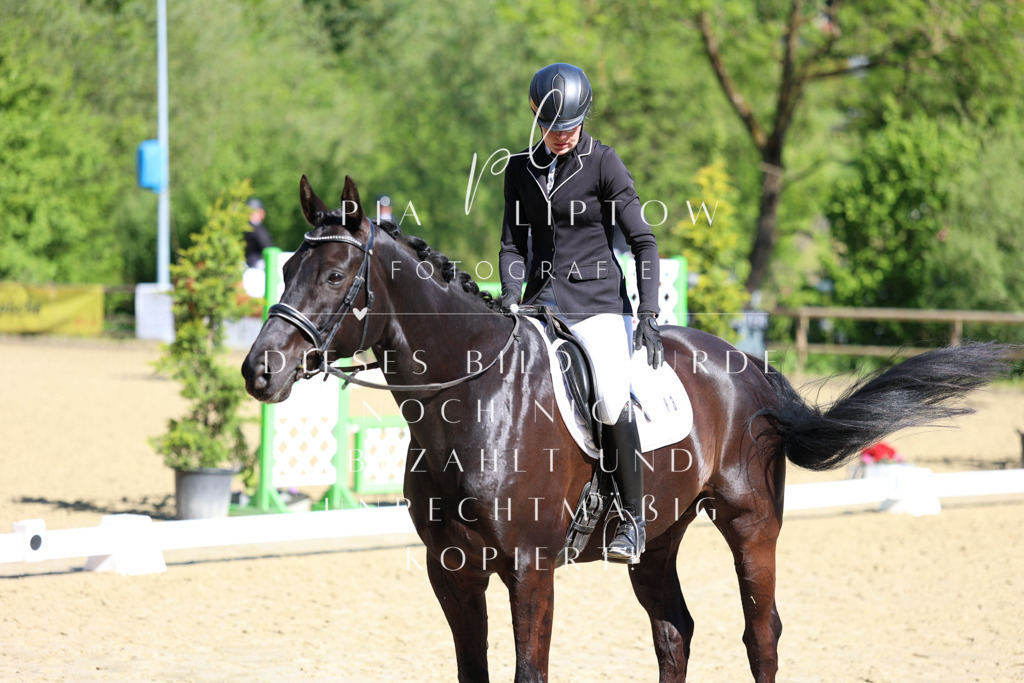 IMGT0284 | pl-fotografie