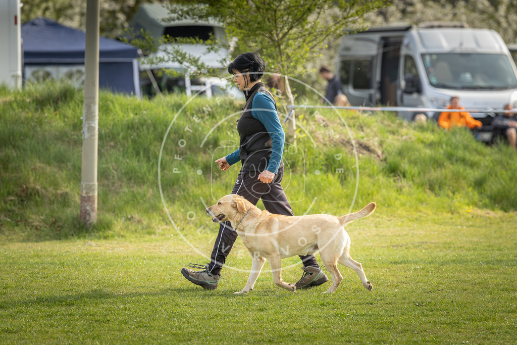 Pfotenfotografie_DV3A4989 | Hundefotografie, Tierfotograf, Pfotenfotografie, Fotoshooting Hund, Hunde Portrait, Hundesport, Hundeportraits, Heideshooting, Hunde, Sportfotograf, Hundefotograf, Turnierhundsport, THS,  - Realisiert mit Pictrs.com