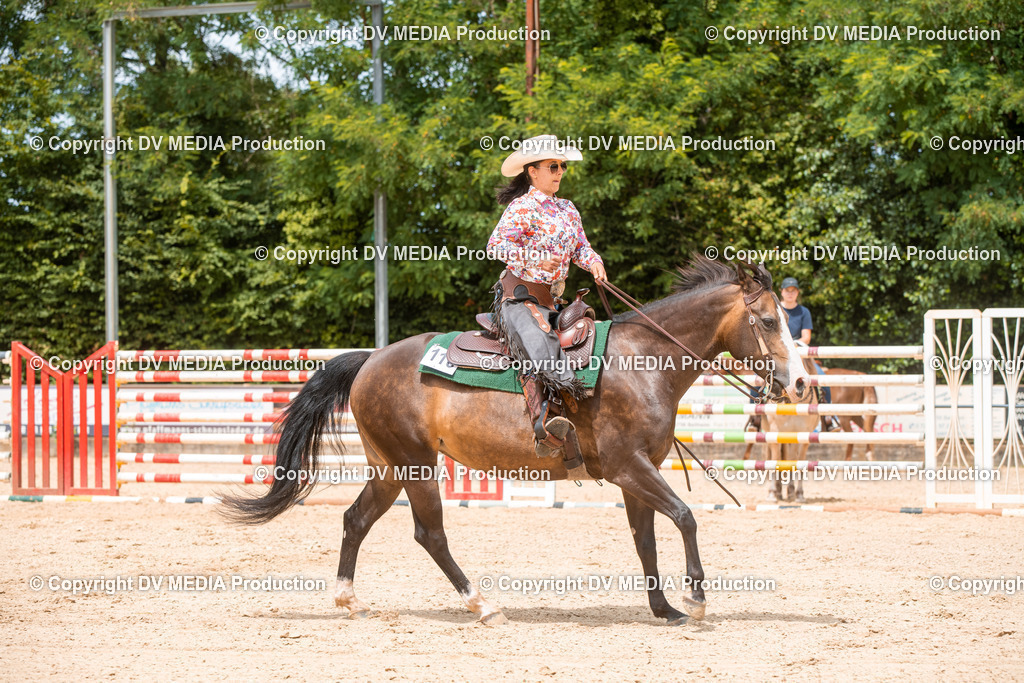 EWP_6287 | dv-media-shop - Realisiert mit Pictrs.com