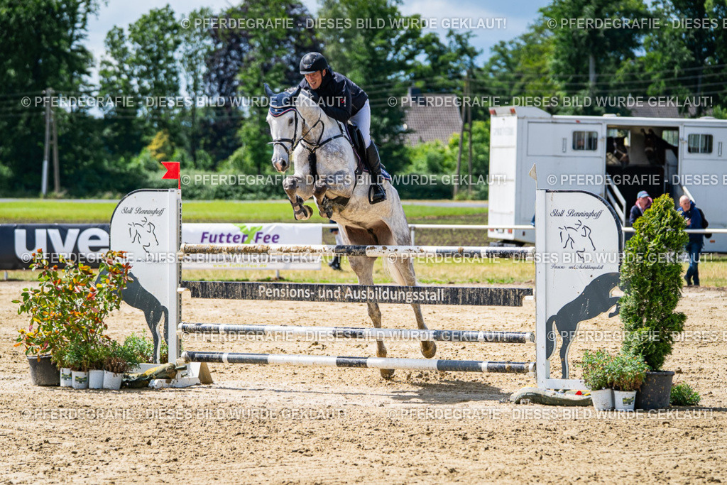 DSC04971 | Pferdegrafie