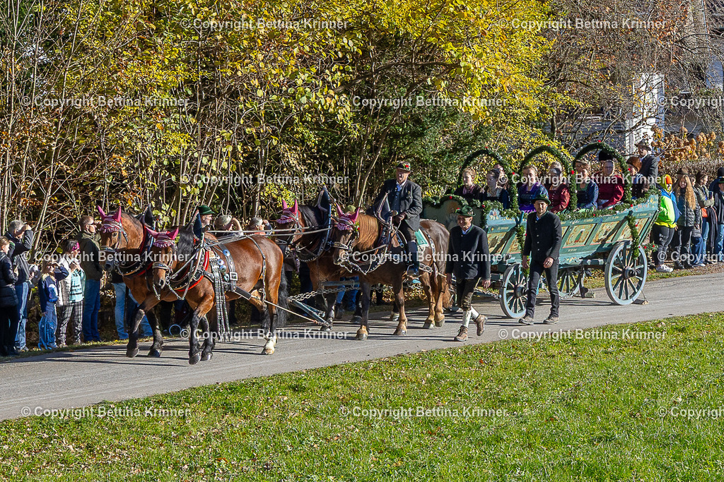 LBT25-115 | foto-bettina-krinner - Realisiert mit Pictrs.com