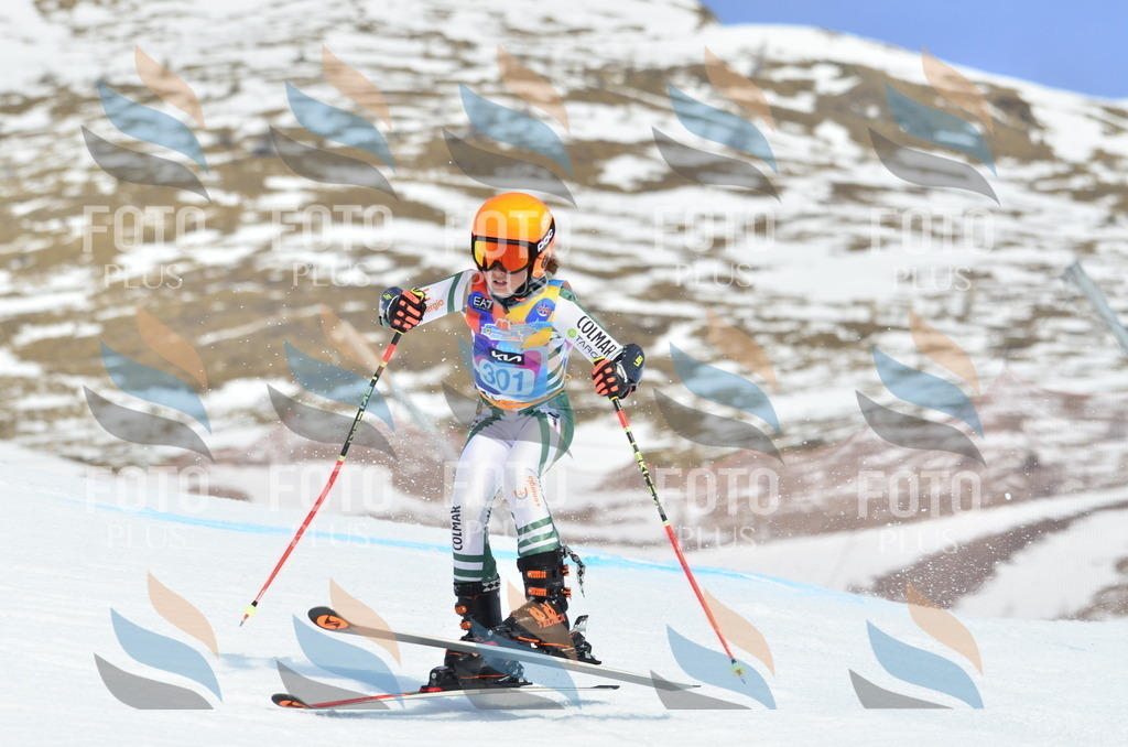 _ELE2197 | holidayphoto