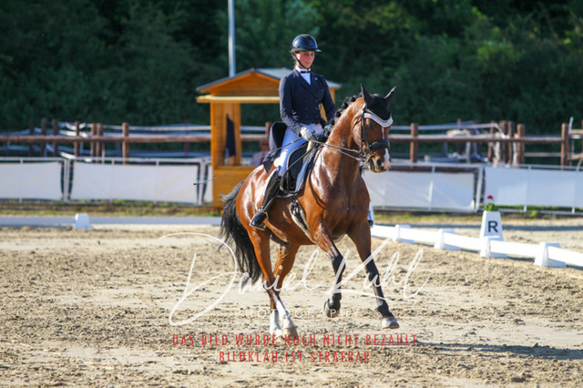DKP42851 | Turniersportfotografie; Pferdefotografie; Dressurfotografie