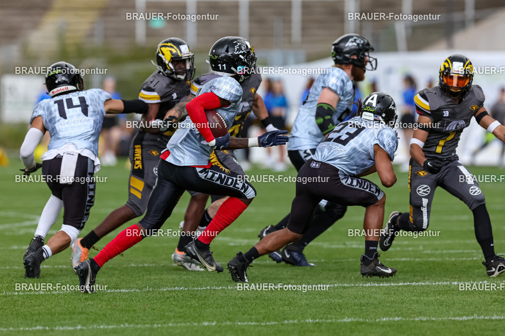 097_Ravens_20230827_0735 | BRAUER-Fotoagentur