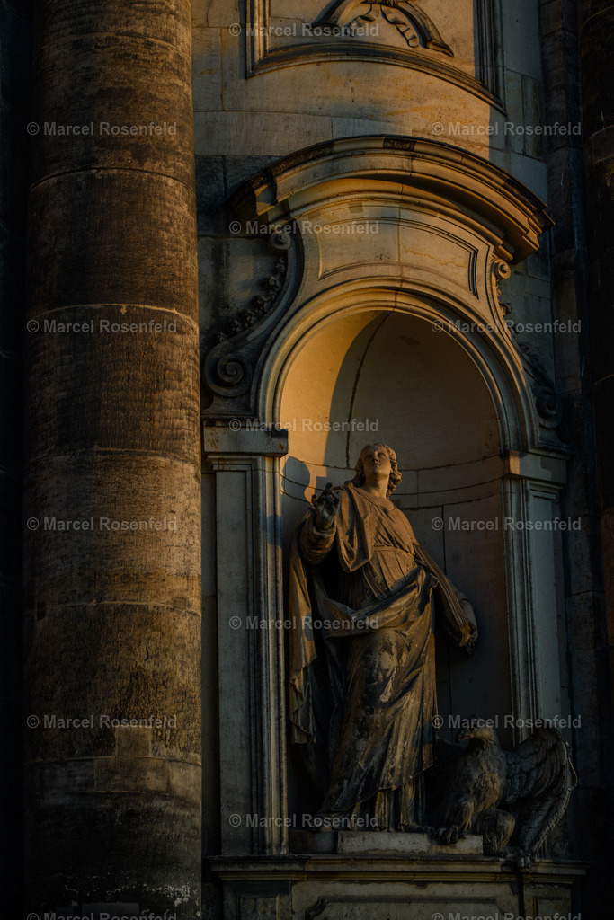 _DSC3639 (1) | foto-rosenfeld