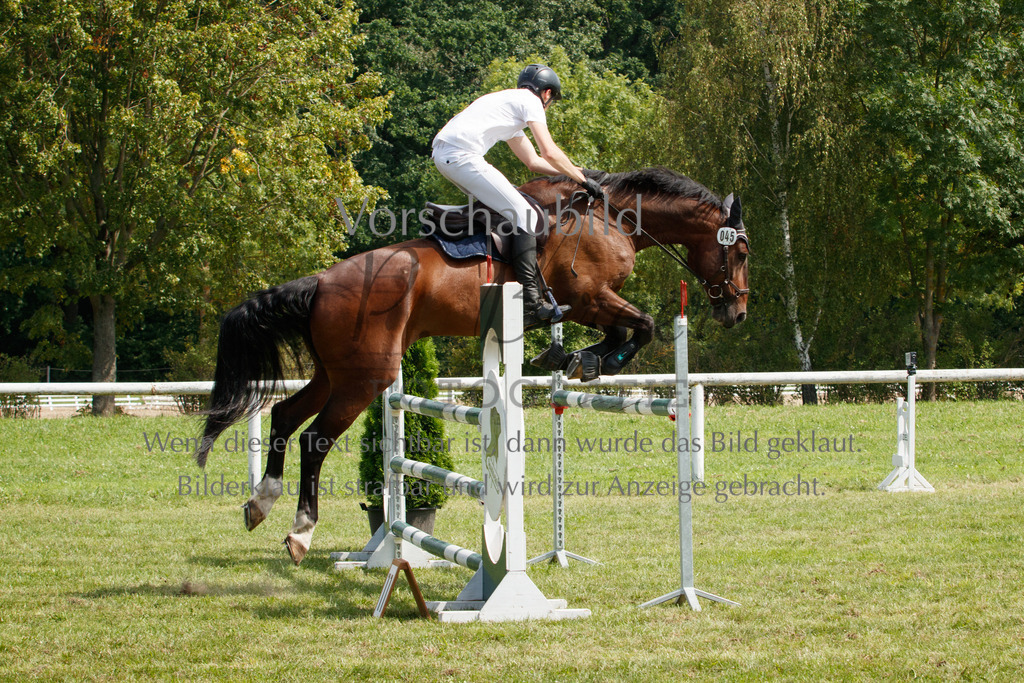 IMG_3472 | P. Berger Fotografie - Realisiert mit Pictrs.com