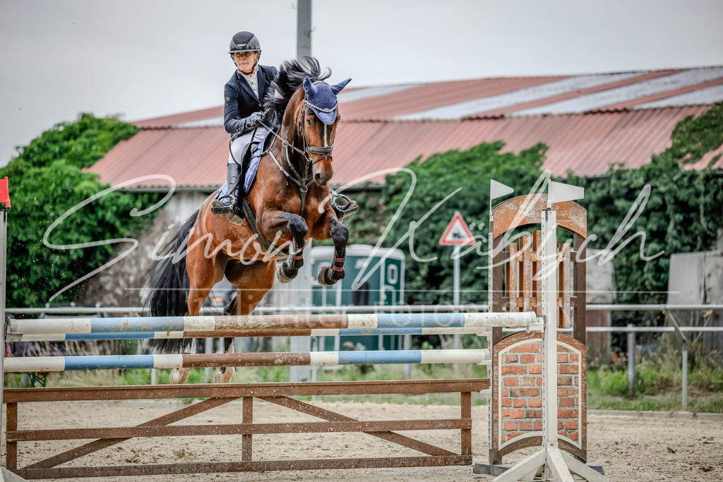 20250706-_3LI3834 | Tierfotografie Pferde, Hunde, Katzen, Haustiere.
Turnierfotografie Reitturniere, Reiten, Springreiten, Dressur in Hanau, dem Main-Kinzig-Kreis und dem Rhein-Main- Gebiet um Frankfurt