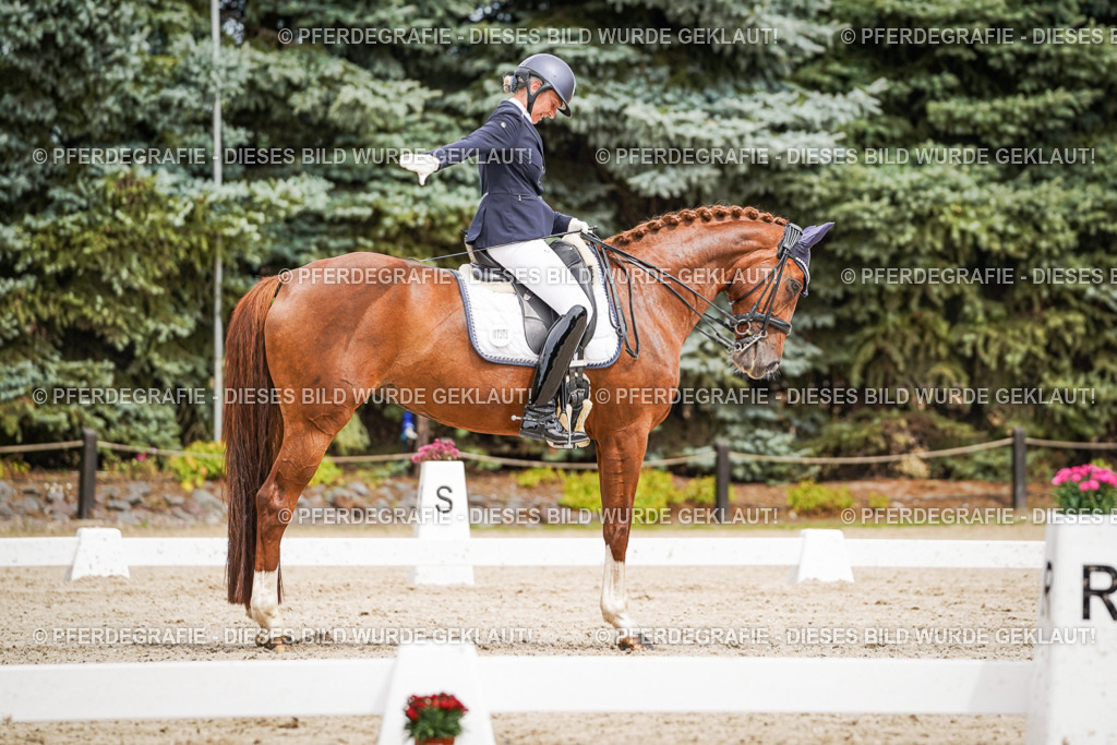 DSC05217 | Pferdegrafie