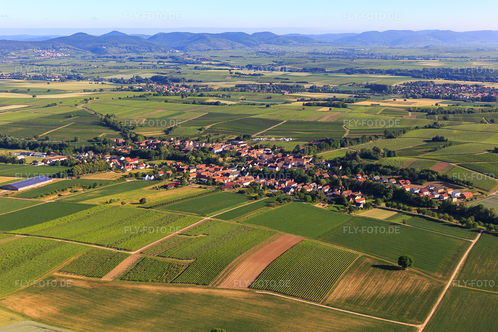 Luftbild: Dorfansicht aus Süden in Dierbach im Bundesland Rheinland-Pfalz in Deutschland. Foto: IMG_101005.jpg vom 17.06.2017 durch Werner Riehm/FLY-FOTO.de