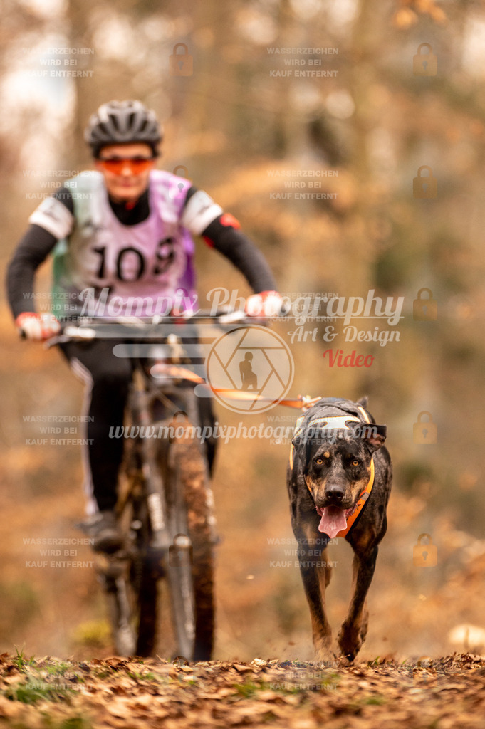 AKM_ST_2023_SAM_Bike-121 | PayLife