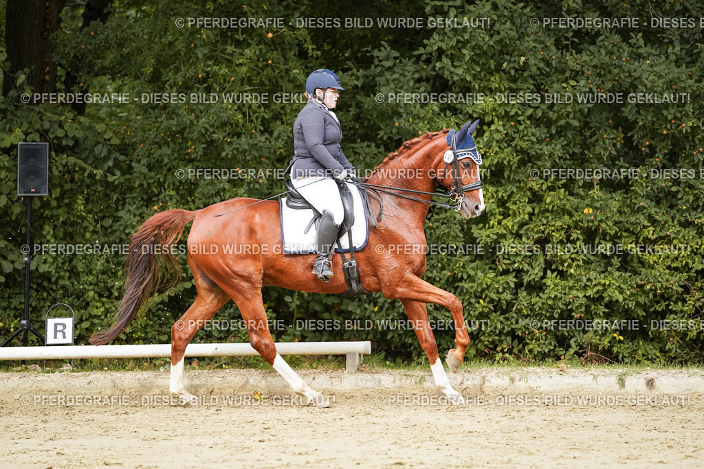 DSC03245 | Pferdegrafie