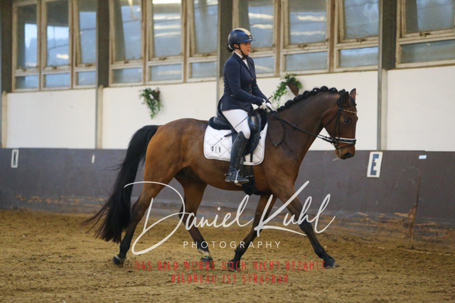 IMG_7485 | Turniersportfotografie; Pferdefotografie; Dressurfotografie