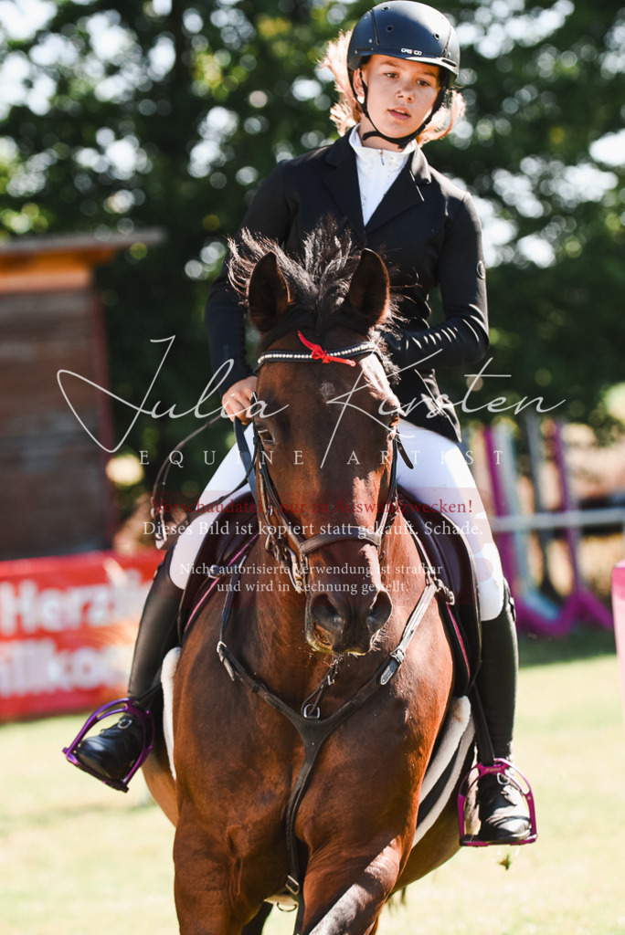 DSC_2398 | Pferde- und Turnierfotografie in Westsachsen. Pferdeportraits, Auftragszeichnungen und intuitive Kunst.