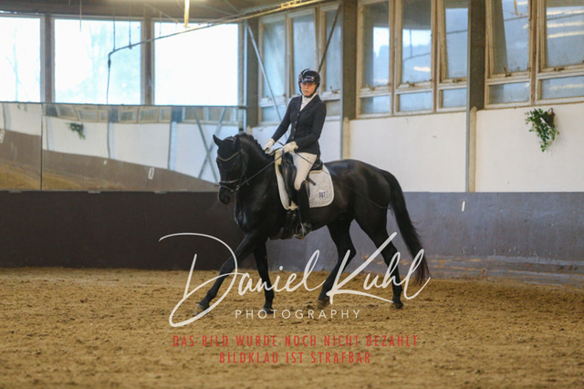 IMG_7209 | Turniersportfotografie; Pferdefotografie; Dressurfotografie