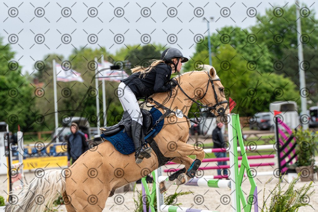 KPT_8363 | andre_photographic