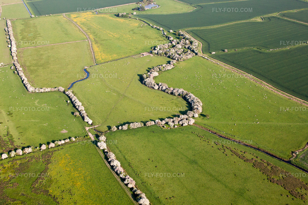 Aerial view: View of the town in Monkton in the state England, Great Britain. – Photo: IMG_50490.jpg taken on 05/27/2012 by Werner Riehm/FLY-FOTO.com – Resolution of the original: 4752 x 3168 px