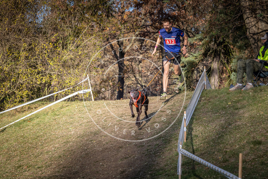 CaniXpix_0L8A8694 | Hundefotografie, Tierfotograf, Pfotenfotografie, Fotoshooting Hund, Hunde Portrait, Hundesport, Hundeportraits, Heideshooting, Hunde, Sportfotograf, Hundefotograf, Turnierhundsport, THS,  - Realisiert mit Pictrs.com