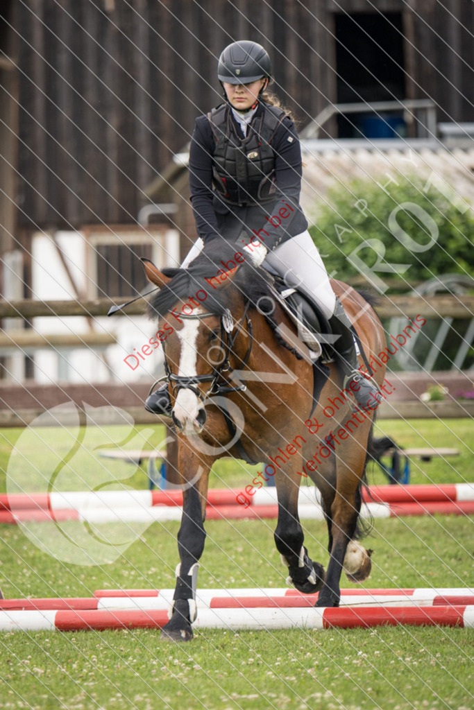 IMG_2311 | Sport-, Event- und Tierfotos in Profiqualität. Einfach auswählen, bestellen und herunterladen. Dein Moment – perfekt festgehalten.