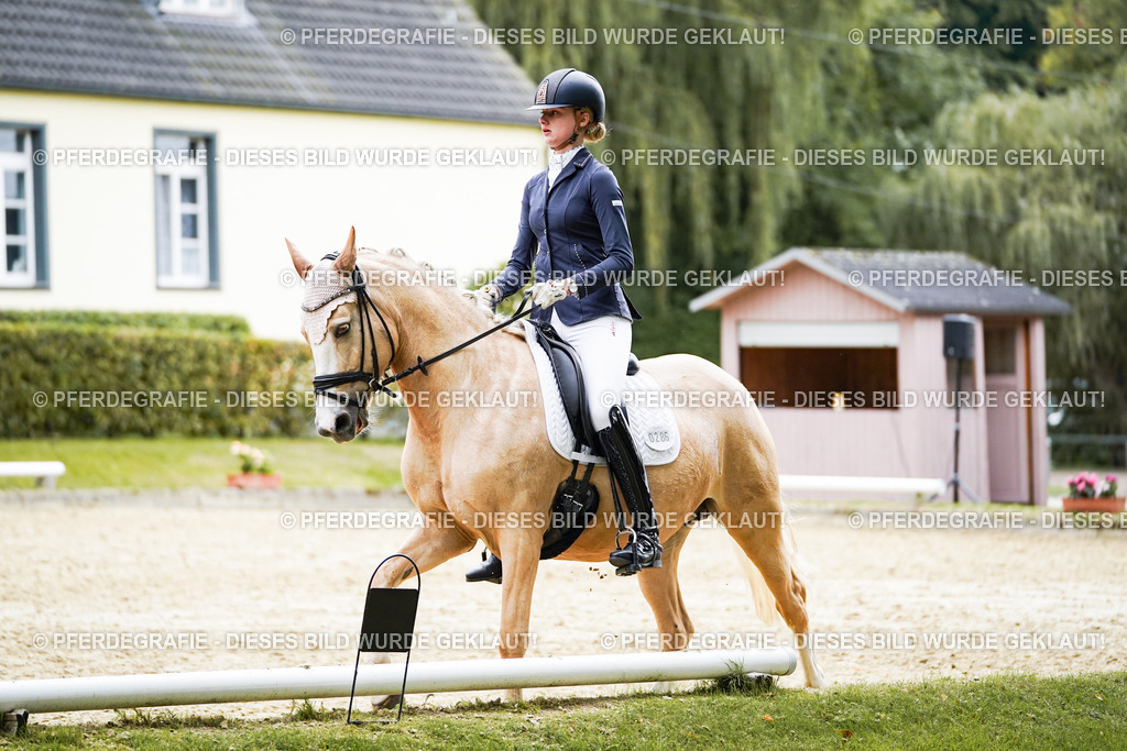 DSC00856 | Pferdegrafie