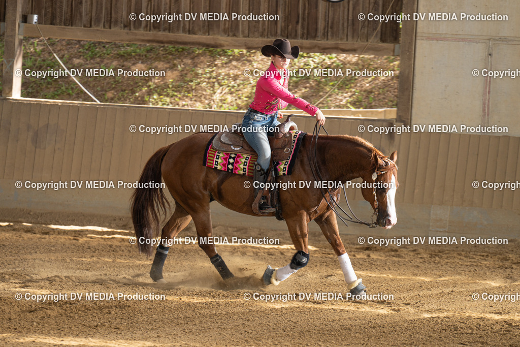 DSC00421 | dv-media-shop - Realisiert mit Pictrs.com