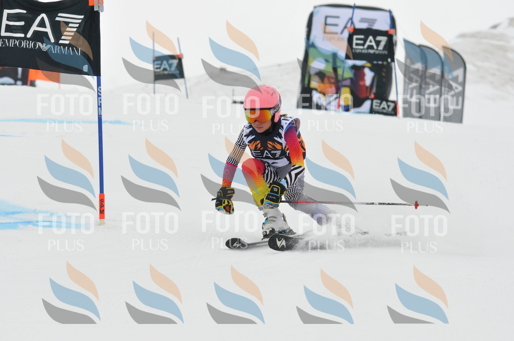 DSC_7568 | holidayphoto