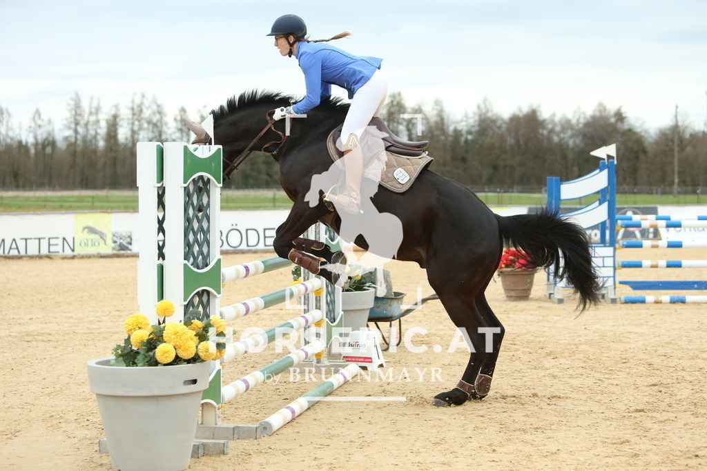 DL2Q2624 | Willkommen bei Brunnmayr - Design & Fotografie – Ihrem Spezialisten für Reitturniere und Pferdeveranstaltungen in Oberösterreich, Salzburg und Bayern! Seit über 17 Jahren sind wir leidenschaftlich dabei.