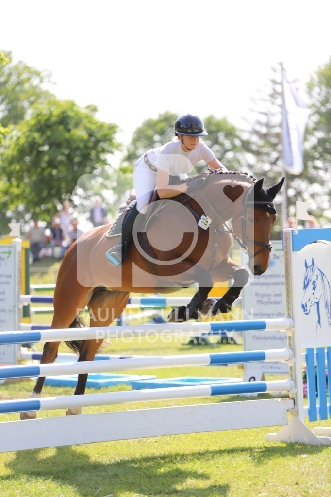 IMG_6596 | Pauline Ullmann Photography - Realisiert mit Pictrs.com