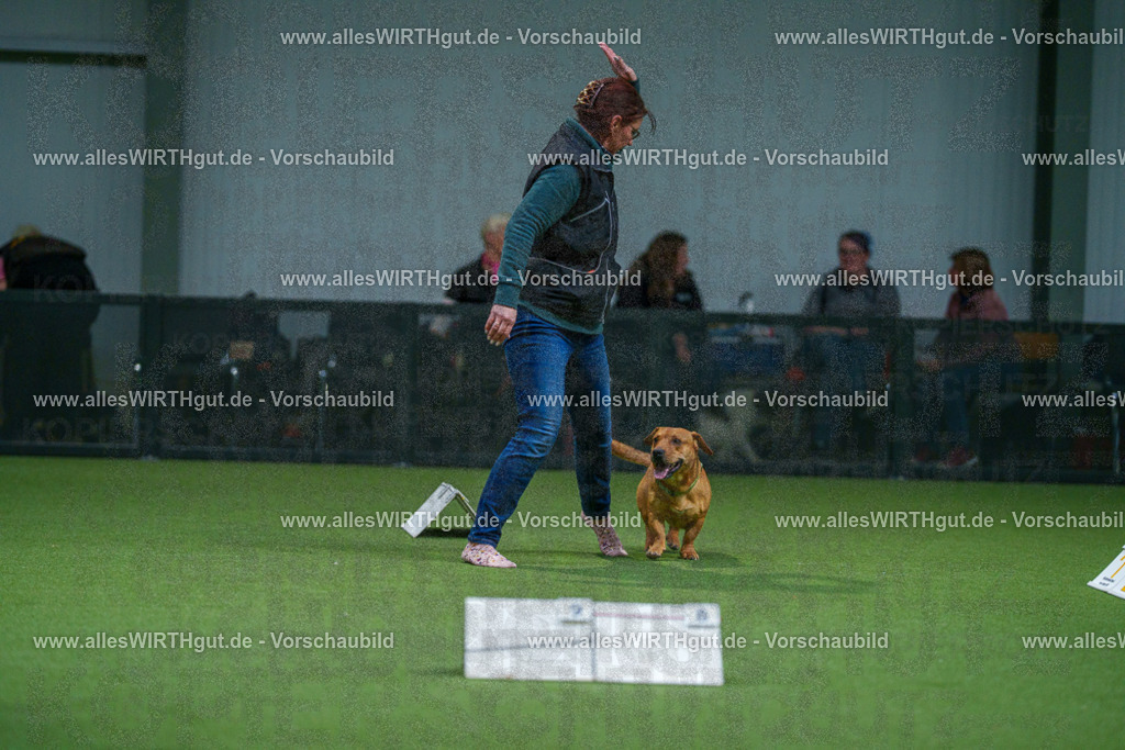 7R502361 | Professionelle Tierfotografie in Mönchengladbach von Daniel Wirth (allesWIRTHgut). Liebevolle & natürliche Bilder von Hunden & Katzen für unvergessliche Erinnerungen.