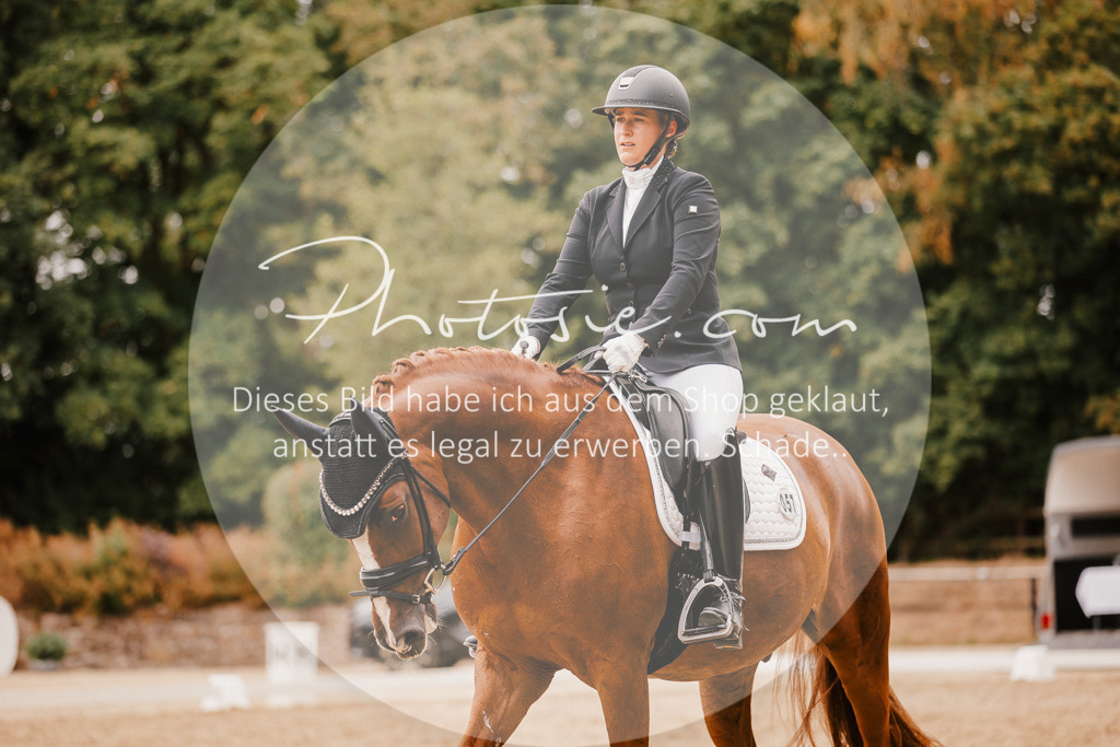 3I6A5910 | Stimmungsvolle Portraits und Reitsportfotografie im Ruhrgebiet und im Münsterland.

Pferdefotografie, Hundefotografie, Tierfotografie, Reportagen, Portraits von Tier und Mensch, Turnierfotografie in Bochum, Recklinghausen, Marl, Haltern am See, Dülmen.. - Realisiert mit Pictrs.com