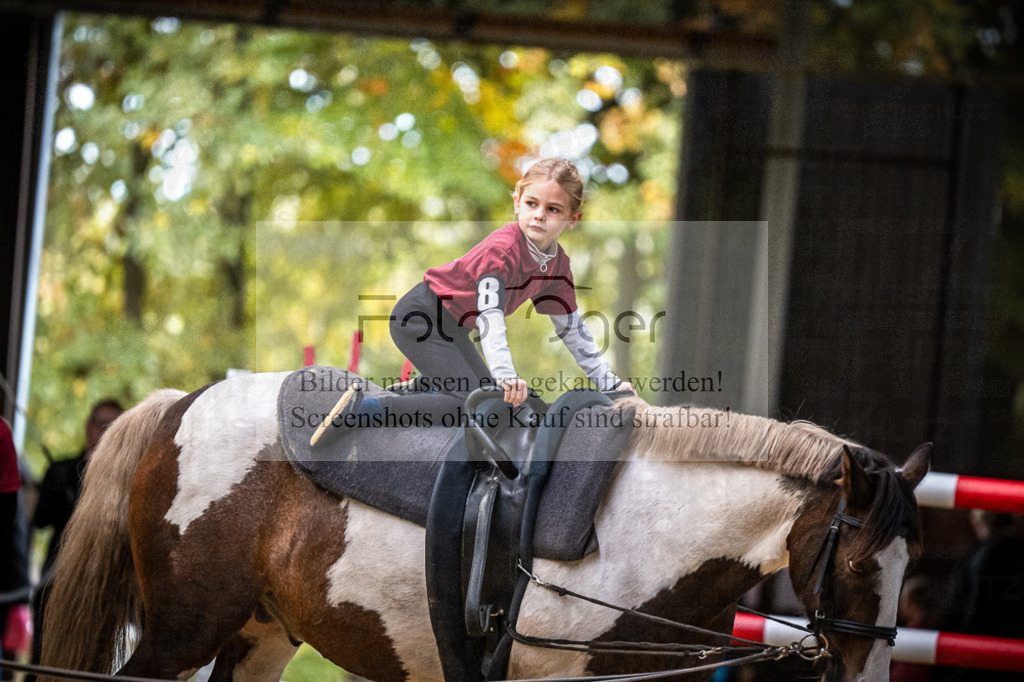 DOS_0197 | Entdecke hochwertige Reitturnierfotos von Foto Oger. Professionell, emotional und authentisch – jetzt Lieblingsmomente im Shop bestellen.Deutschlandweite Turnierfotografie. - Realisiert mit Pictrs.com