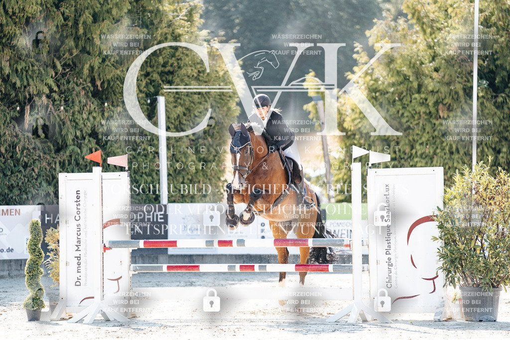 CK907725 | Turnierfotografie Pferdefotografie Trier Rheinland-Pfalz Pferdesport Reitsport Tierfotografie Sportfotografie Pferdevideo Pferdevideografie Equestrianvideography equestrianphotography  - Realisiert mit Pictrs.com