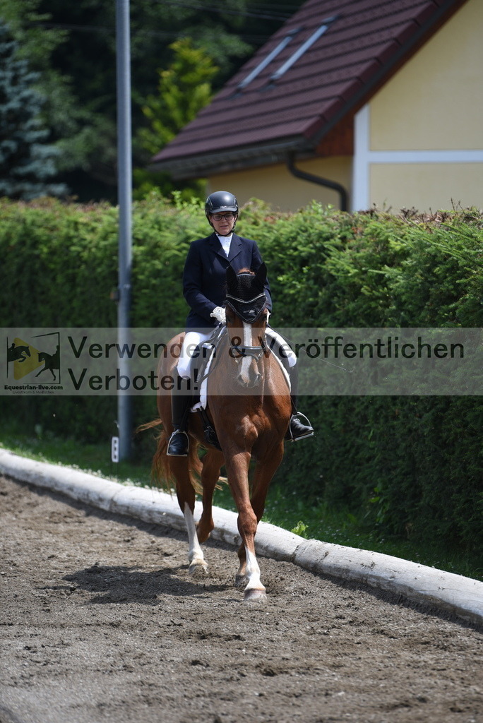 DSC_9373 | equestrian-live-com