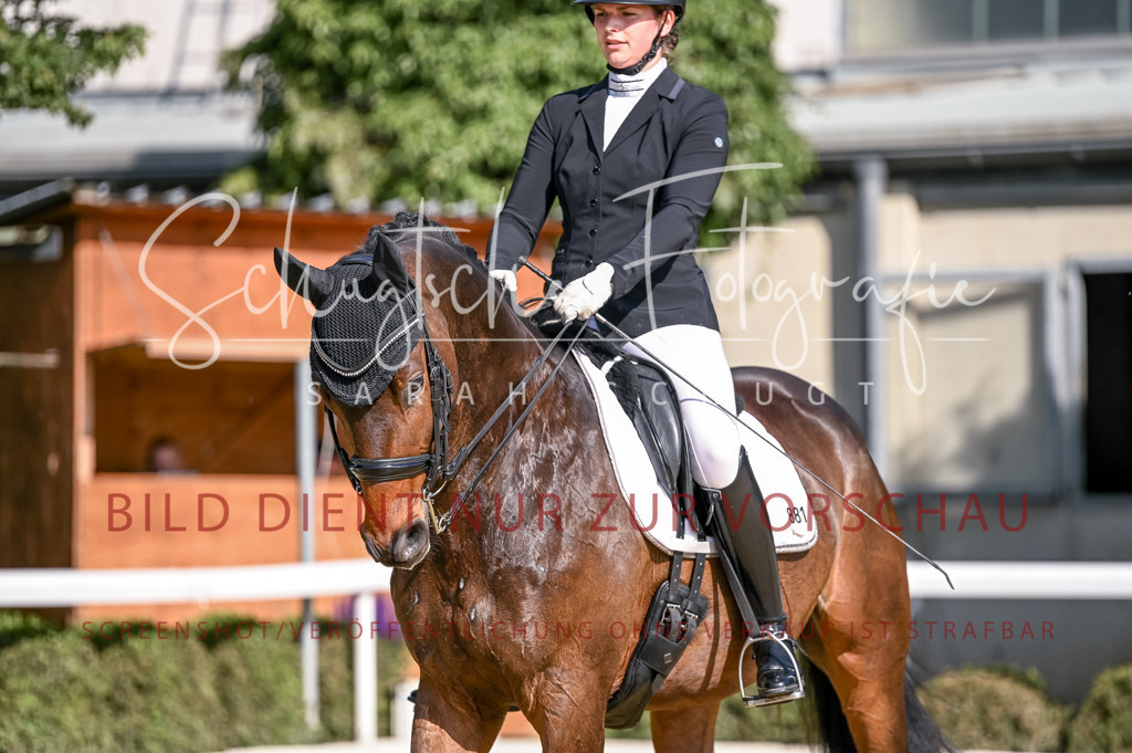 Schugtsche-Aluta25-52.Dressurprf.M2Kand-262 | Schugtsche Fotografie - Realisiert mit Pictrs.com