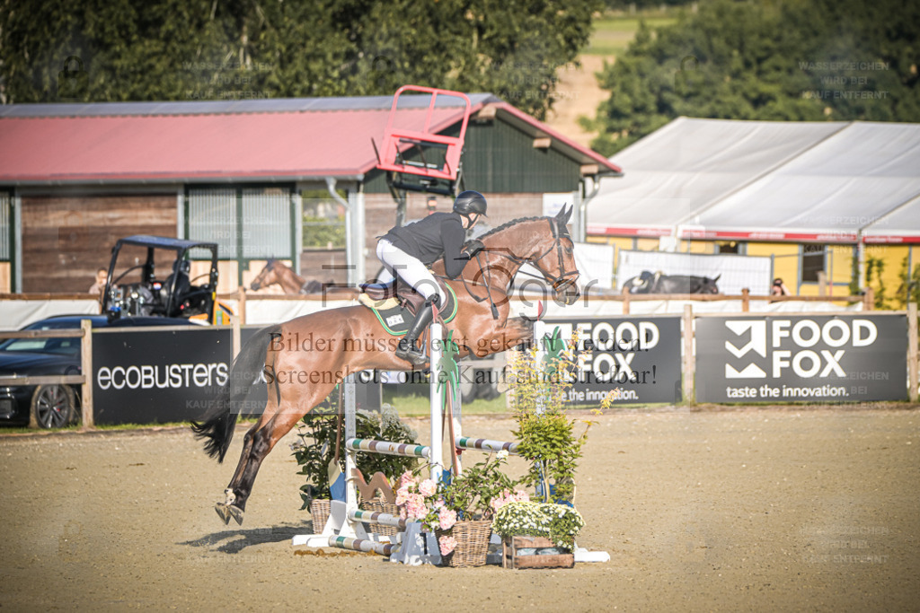 DOS_7338 | Entdecke hochwertige Reitturnierfotos von Foto Oger. Professionell, emotional und authentisch – jetzt Lieblingsmomente im Shop bestellen. - Realisiert mit Pictrs.com