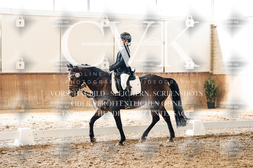 CK900111 | Turnierfotografie Pferdefotografie Trier Rheinland-Pfalz Pferdesport Reitsport Tierfotografie Sportfotografie Pferdevideo Pferdevideografie Equestrianvideography equestrianphotography  - Realized with Pictrs.com