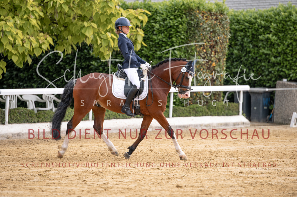 Schugtsche-Aluta25-40.DressurprfA_-304 | Schugtsche Fotografie - Realisiert mit Pictrs.com