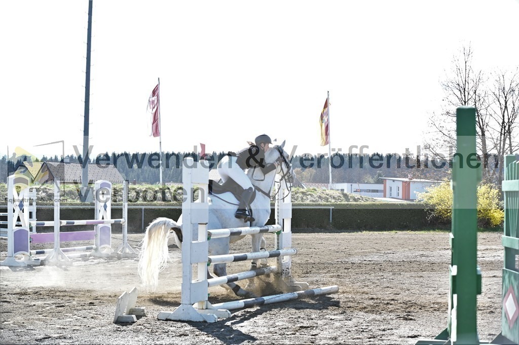 DSC_5718 | equestrian-live-com