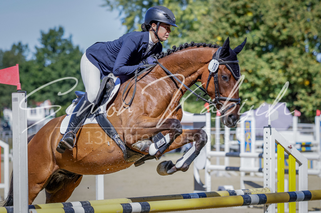 20250906-_3LI3847 | Tierfotografie Pferde, Hunde, Katzen, Haustiere.
Turnierfotografie Reitturniere, Reiten, Springreiten, Dressur in Hanau, dem Main-Kinzig-Kreis und dem Rhein-Main- Gebiet um Frankfurt
