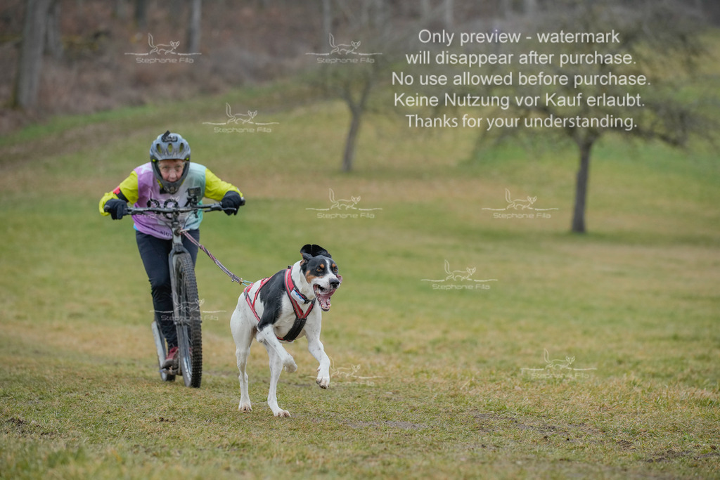 Sa_Scooter1-119 | stephaniefillaphotographie - Realisiert mit Pictrs.com