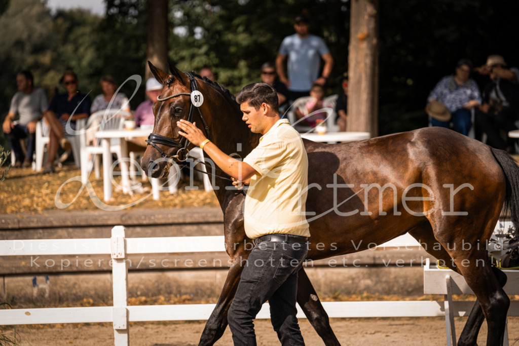 FrER00200 | Leoni Ertmer Photography - Realisiert mit Pictrs.com