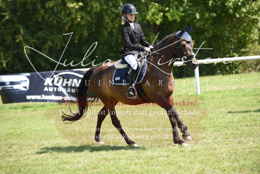 DSC_9919 | Pferde- und Turnierfotografie in Westsachsen. Pferdeportraits, Auftragszeichnungen und intuitive Kunst.