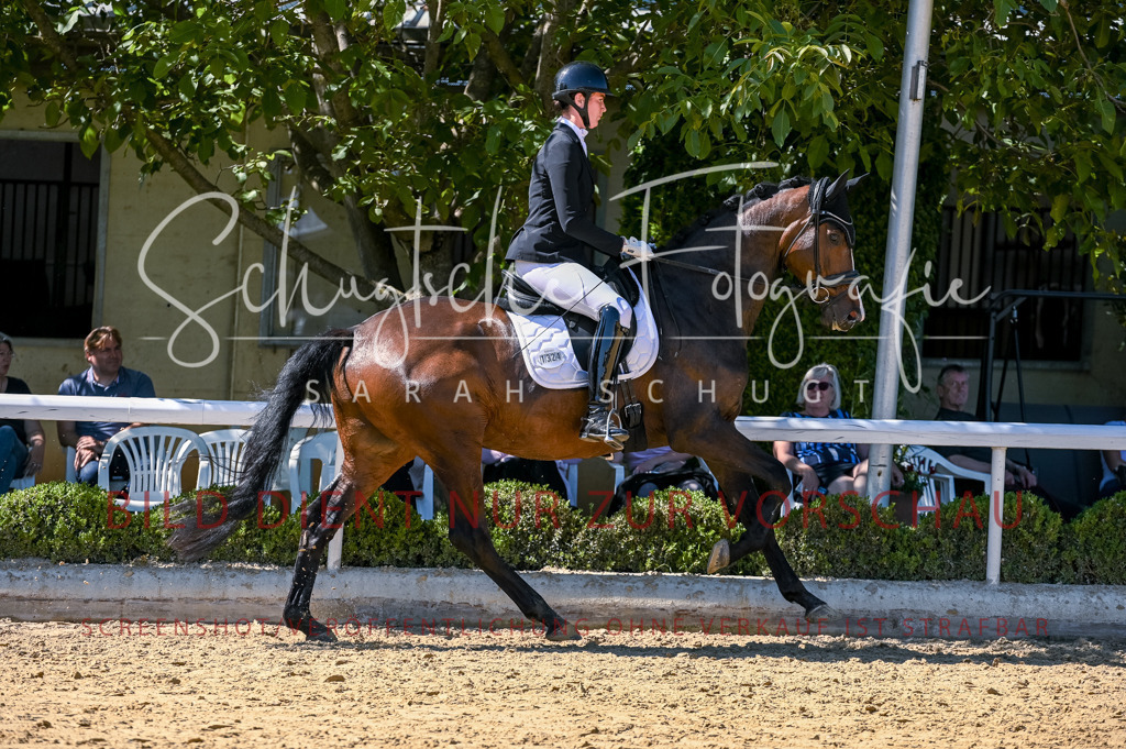 Schugtsche-Aluta25-50.Dressurpferdeprf.L-71 | Schugtsche Fotografie - Realisiert mit Pictrs.com