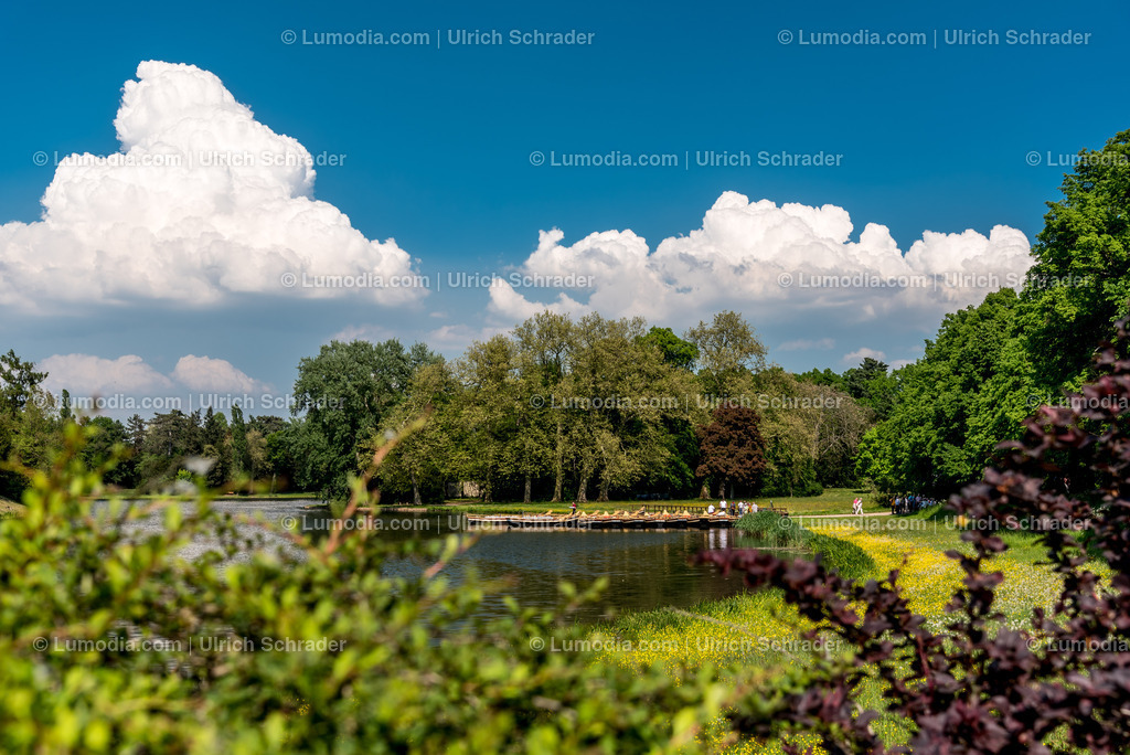 10049-5638 - Wörlitzer Park _ Sachsen Anhalt | Stockfoto und Bilderpool mit Bildmaterial aus Deutschland, dem Harz, Halberstadt, Quedlinburg, Wernigerode und weltweit. Qualitativ hochwertige und professionelle Fotos anschauen und kaufen. - Realisiert mit Pictrs.com
