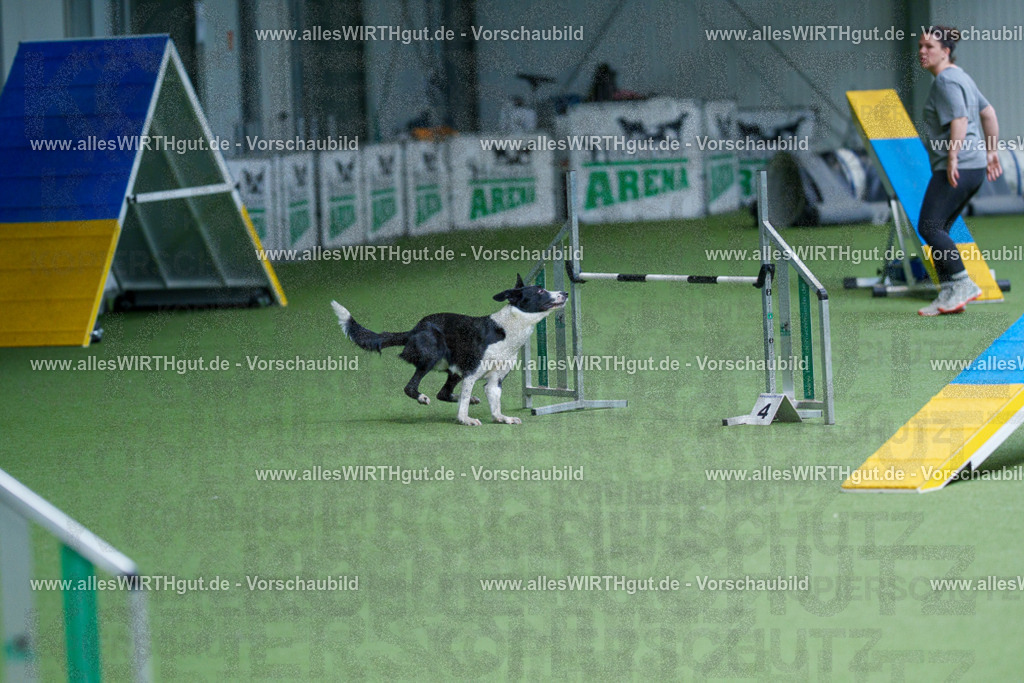@allesWIRTHgut_Tierfotografie - www.allesWIRTHgut.de - 2604260928-7R507821 | Professionelle Tierfotografie in Mönchengladbach von Daniel Wirth (allesWIRTHgut). Liebevolle & natürliche Bilder von Hunden & Katzen für unvergessliche Erinnerungen.