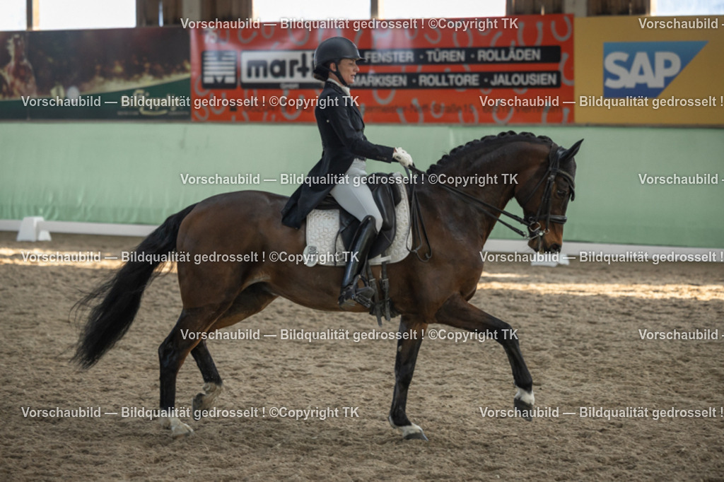 _D5A0681 | Emotionale Pferde- & People-Fotografie rund um Heidelberg, Leimen & Umgebung. Natürliche Fotos von Pferd, Mensch & Familie. Jetzt Termin sichern!