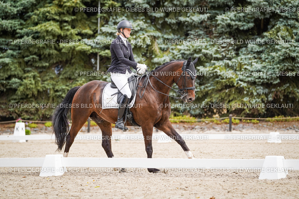 DSC03801 | Pferdegrafie